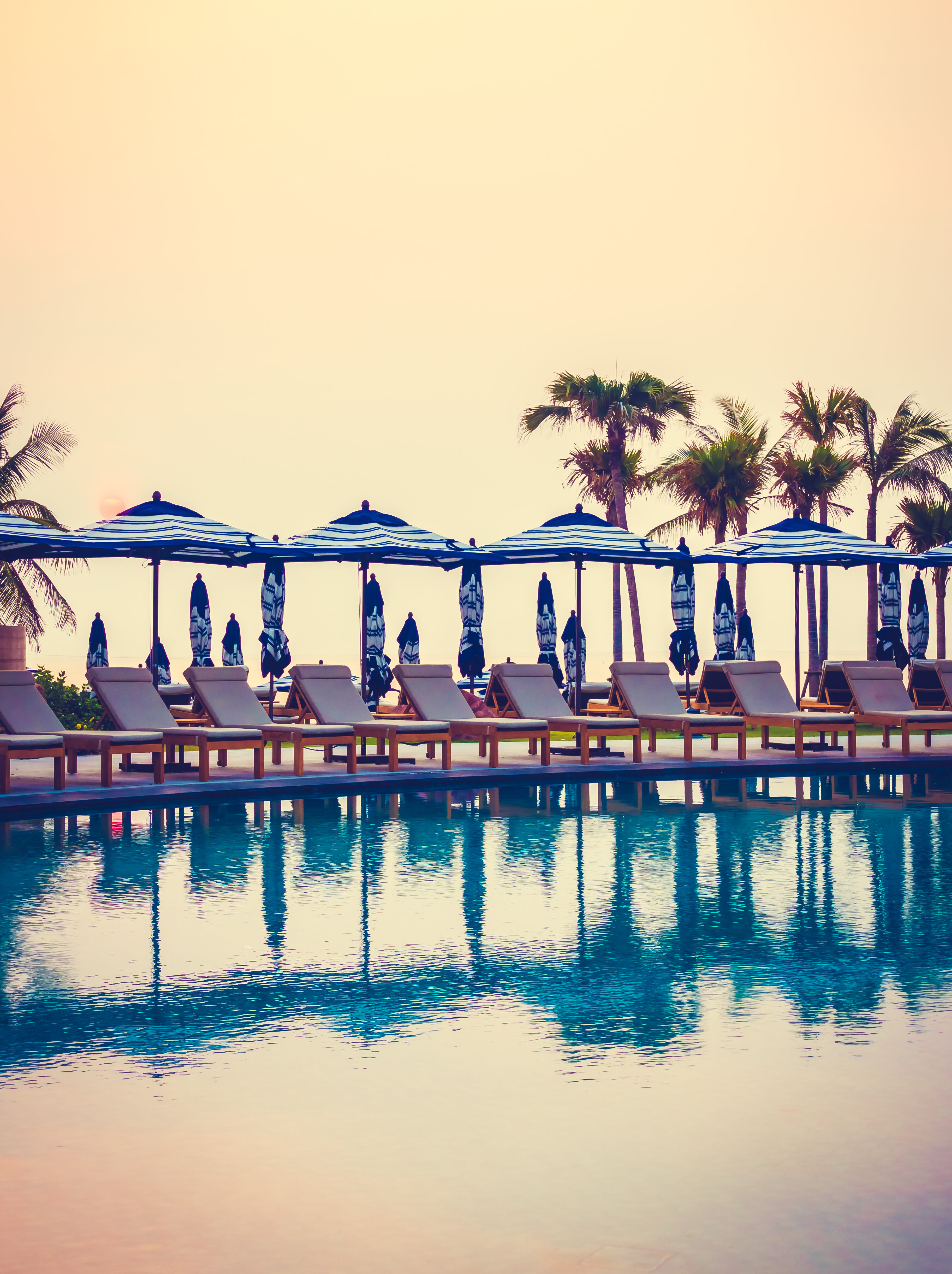 beautiful-tree-nature-sky-filter