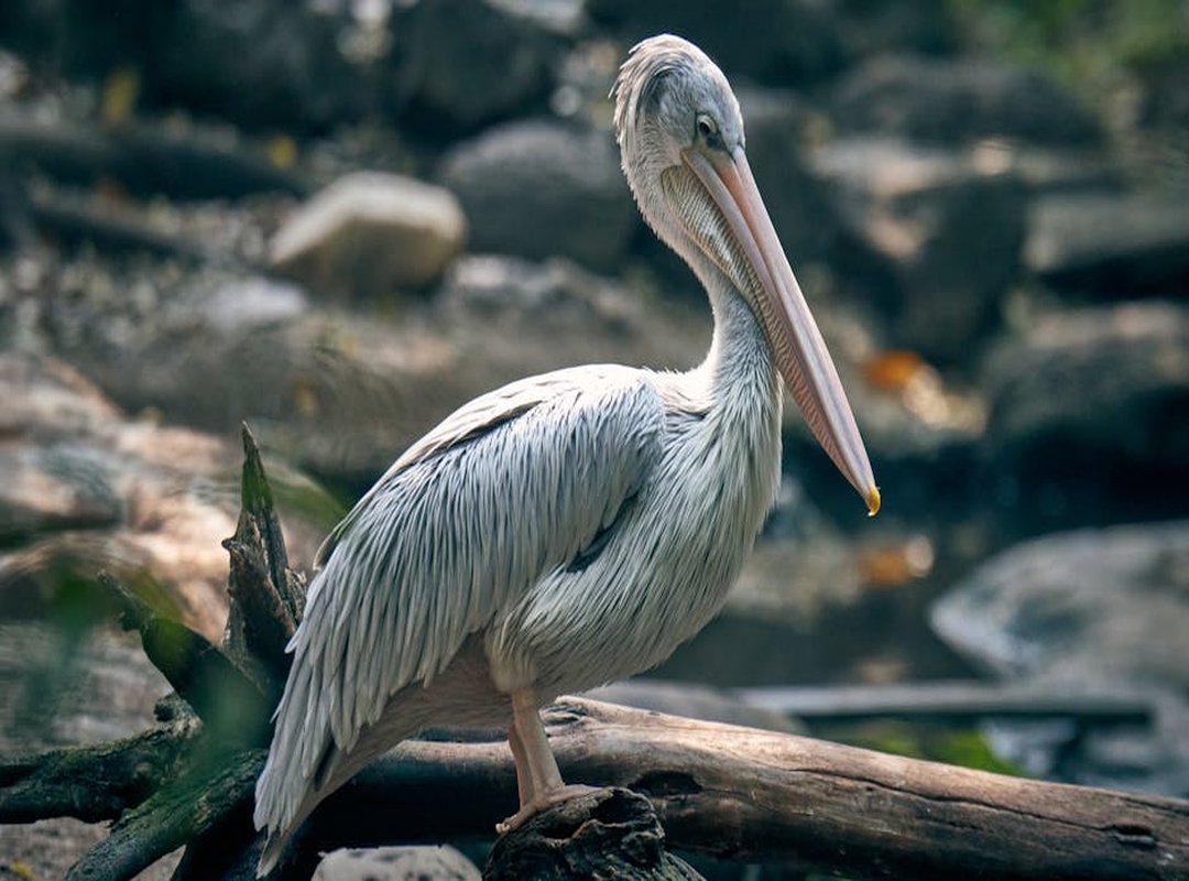 Creating Instagram-Worthy Moments: Practical Tips