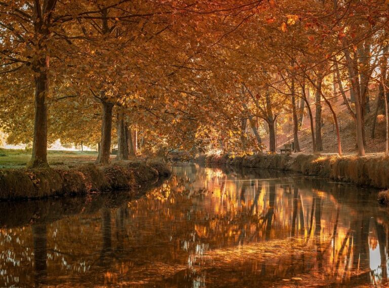 letras de ángela aguilar la llorona