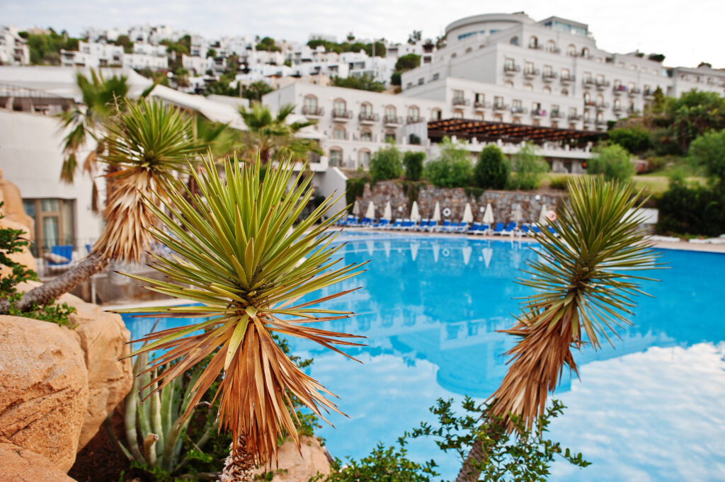 palms-rocks-against-swimming-pool-morning-mediterranean-summer-resort-hotel-turkey-bodrum