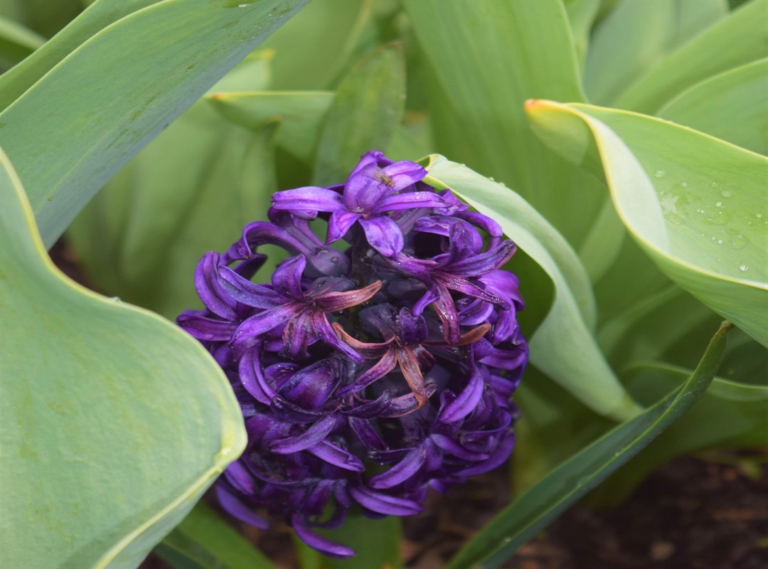 Where to Climb in Hausizius