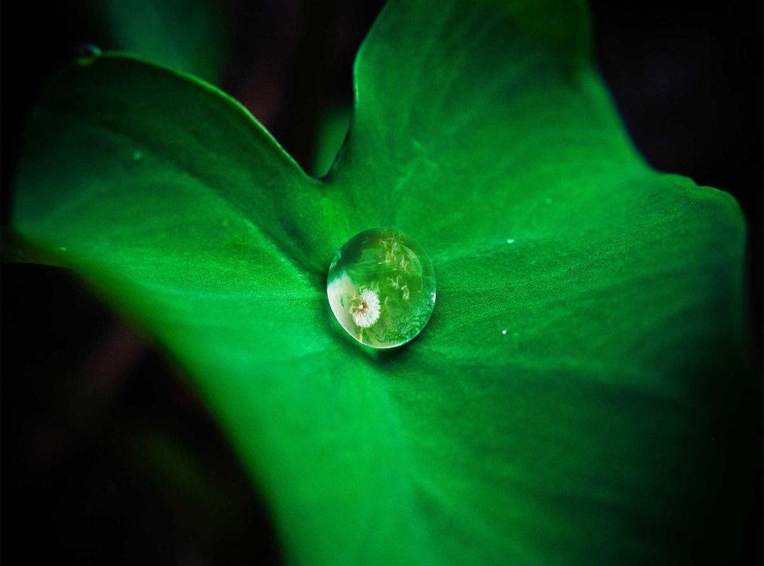 Utah Jazz Player Spotlight: A Deep Dive into Key Performances